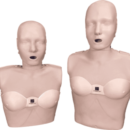 Female accessory 4-pack, medium skin.